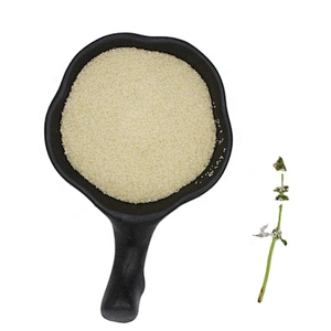 Well Known Brand Granule Food grade Gelatin powder Halal for Food Additive
